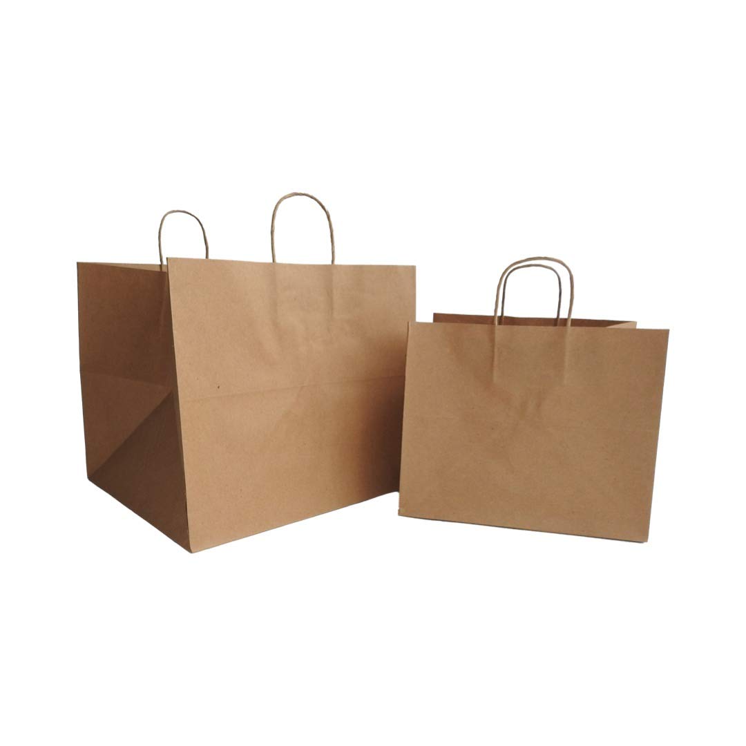Medium Paper Carry Bags (250pcs)