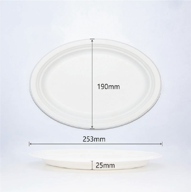 BioBox Sugarcane 7"x 9" Oval Plate (500pcs)